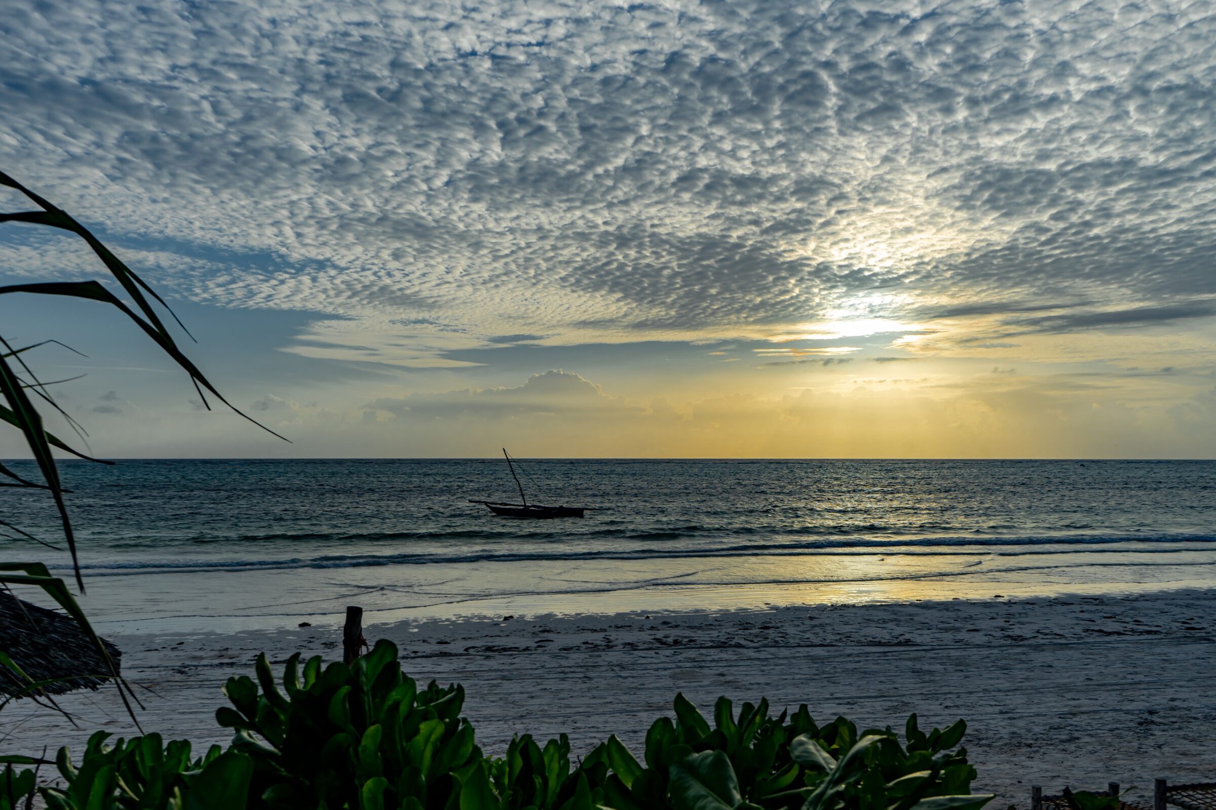 g6-capa-zanzibar-l3-3x2